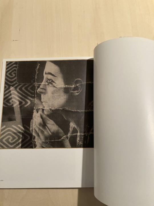 お得定番 David 作品集 ビジュアルアート ncuej-m82022774175 noonan アーティスト 高評価通販