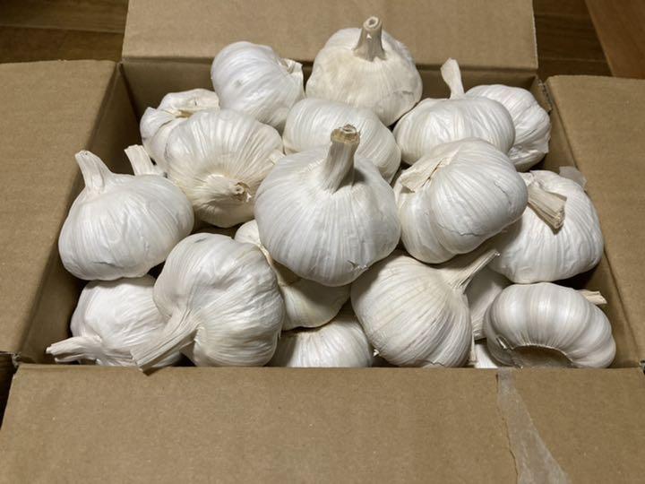 本物販売中 嘉定種 令和3年度産 ニンニク 中球 M球程度 3kg にんにく 直売最安価格 Ixtapastanwood Com 本物販売中 嘉定種 令和3年度産 ニンニク 中球 M球程度 3kg にんにく 直売最安価格 Ixtapastanwood Com