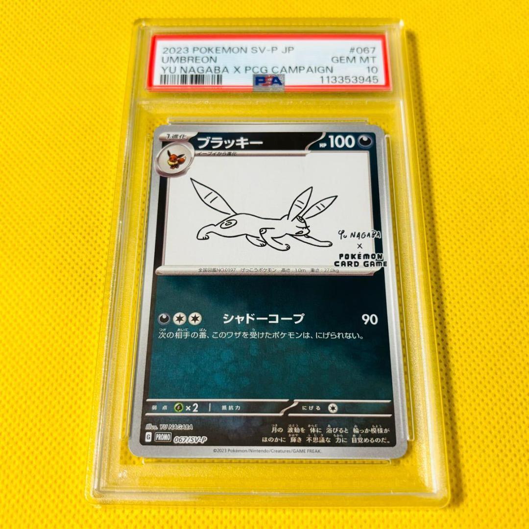 賢*様 ブラッキー 067/SV-P プロモ ブラッキー(067/SV-P) | プロモ | ドラゴンスター | ポケモンカード