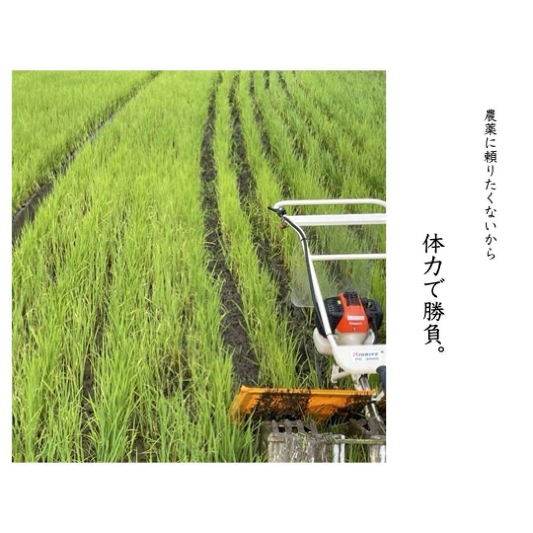 ふく 玄米20kg