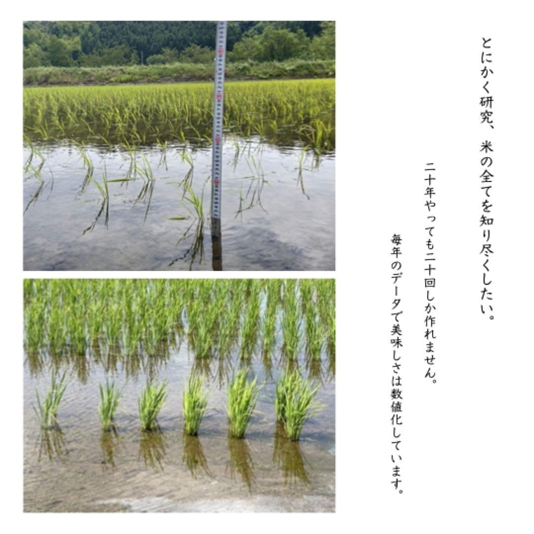 ふく 玄米20kg