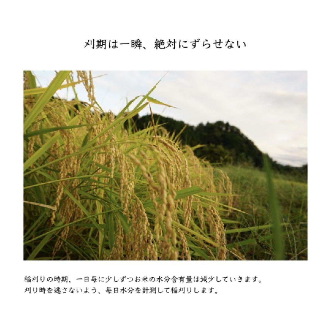 ふく 玄米20kg