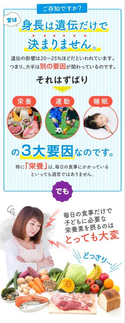 ノビルン  60粒 ラムネ味　新品未開封　2袋分