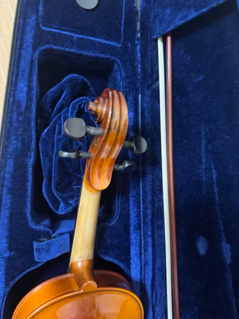 HORA REGHIN 4/4 バイオリン Reghin 4/4サイズ | 【クロサワ楽器店オンラインショップ】いい