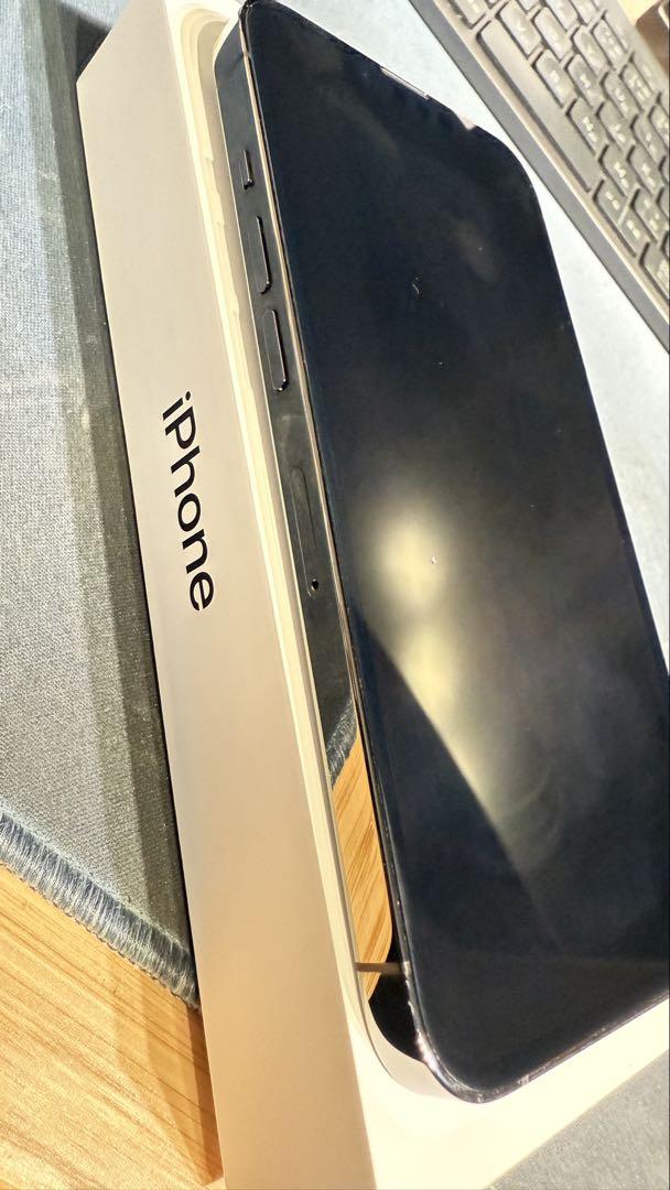Apple iPhone 13 Pro 256GB グラファイト 動作確認済