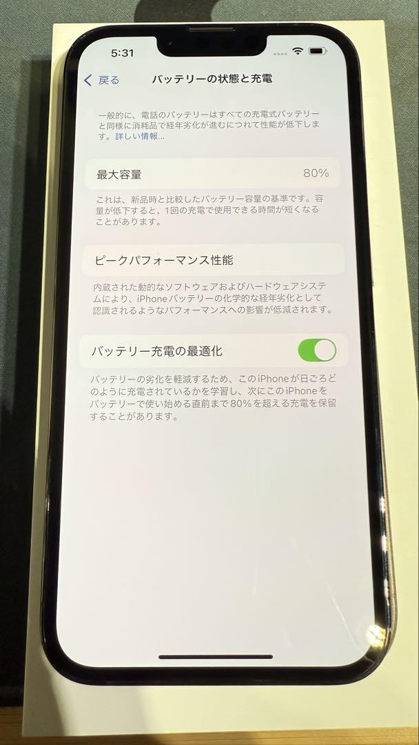 Apple iPhone 13 Pro 256GB グラファイト 動作確認済