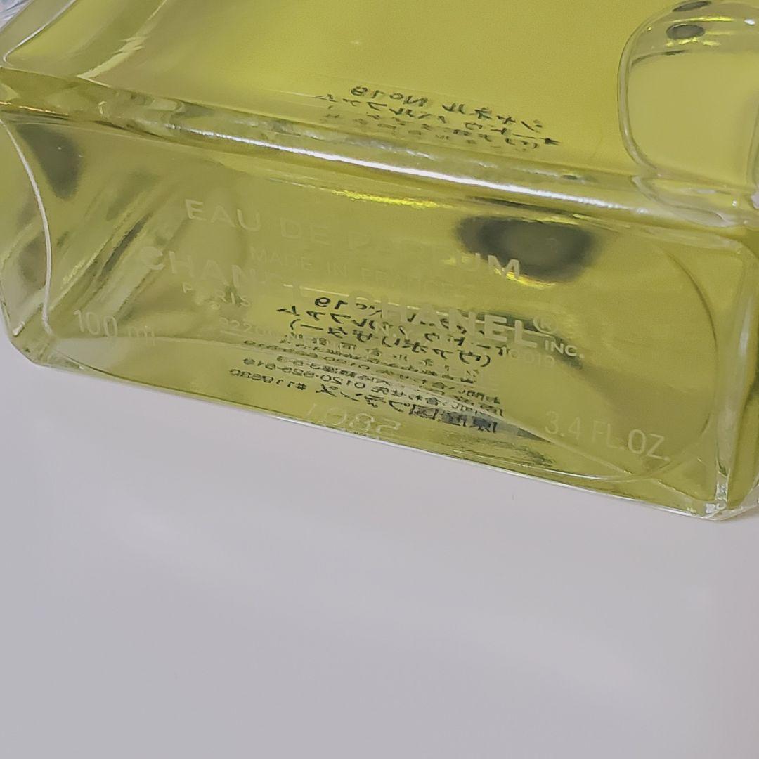 CHANEL N°19 Eau de Parfum 100ml