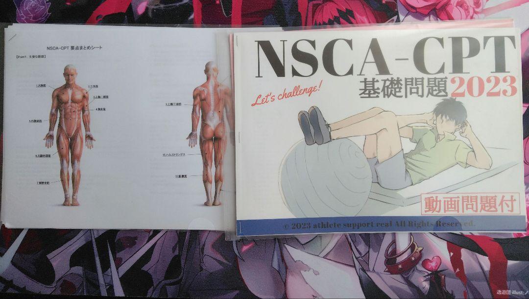 ☆Angel☆NSCA-CPT 参考書 DVD 問題集セット