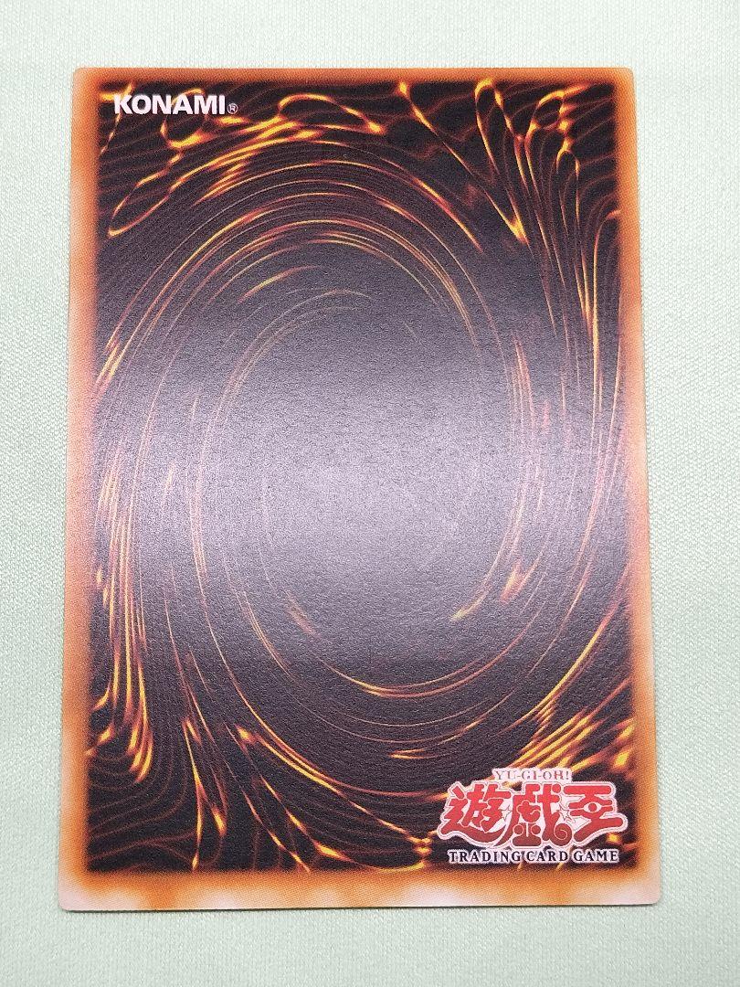 コレクションより珍し とても