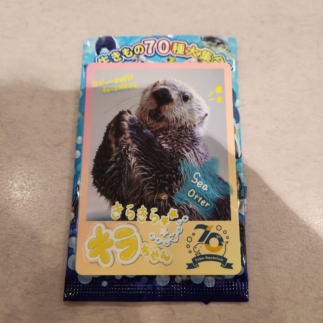 鳥羽水族館 70周年記念 コレクションカード ノーマルカード キラ