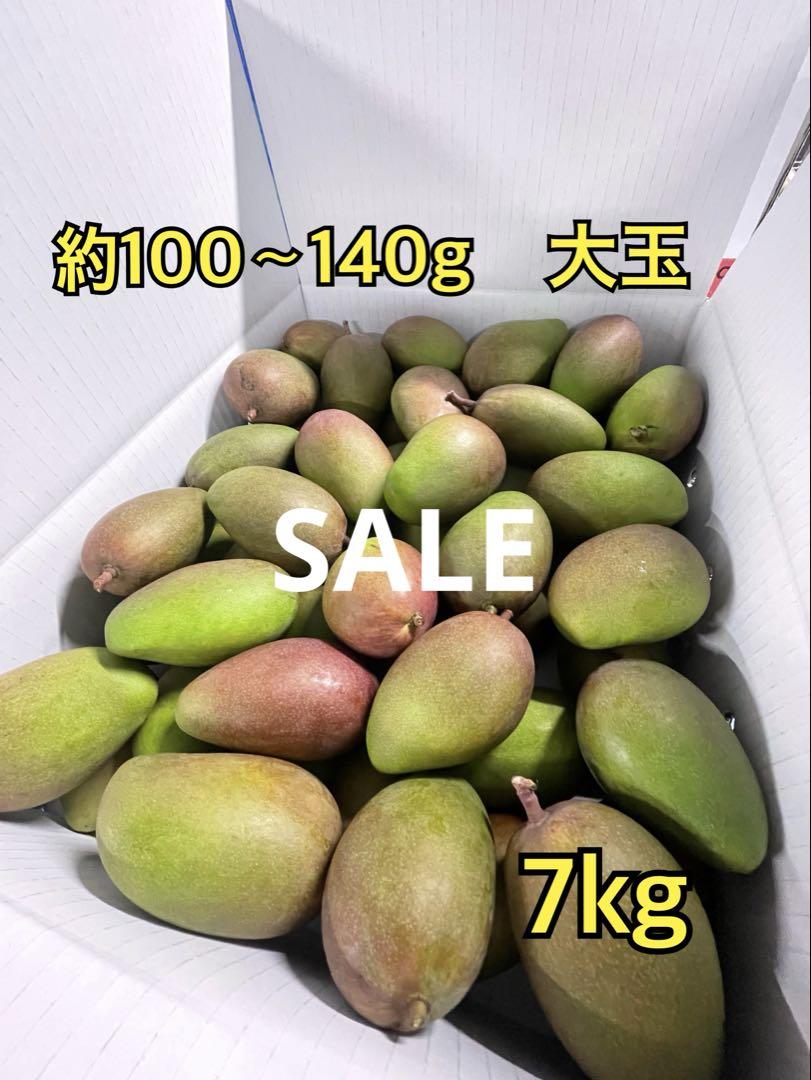 宮古島産　摘果マンゴー7kg（送料込み）※当日のお支払いよろしくお願いします