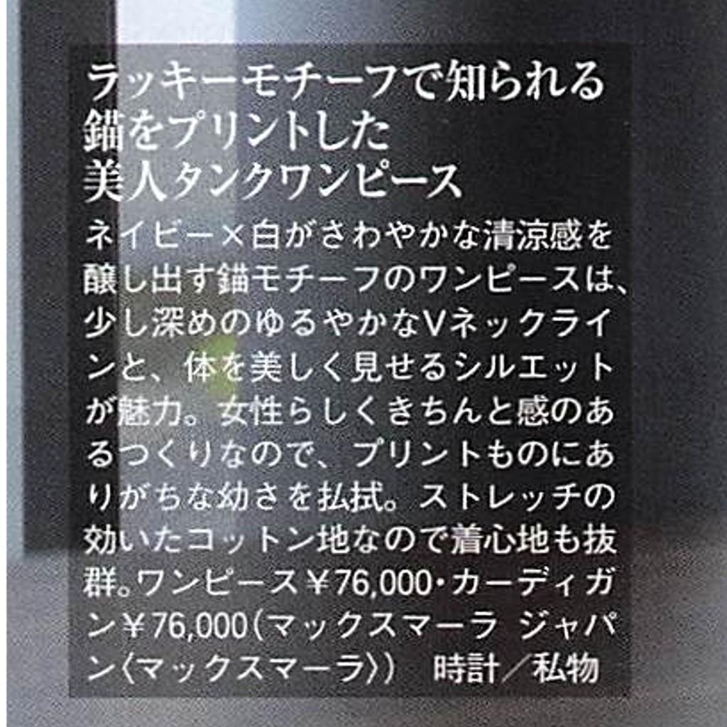 ◆マックスマーラ最高級ライン◆美品◆ローププリント◆ウオッシュデニムワンピース ◇マックスマーラ最高級ライン◇美品◇ローププリント