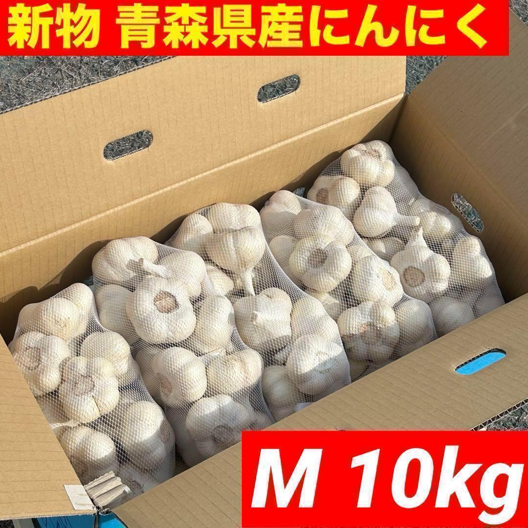 【大特価】新物 青森県産 にんにく M 10kg 福地ホワイト 種おすすめ