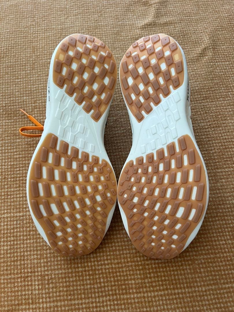 ペガサスターボネイチャー28cmNIKE