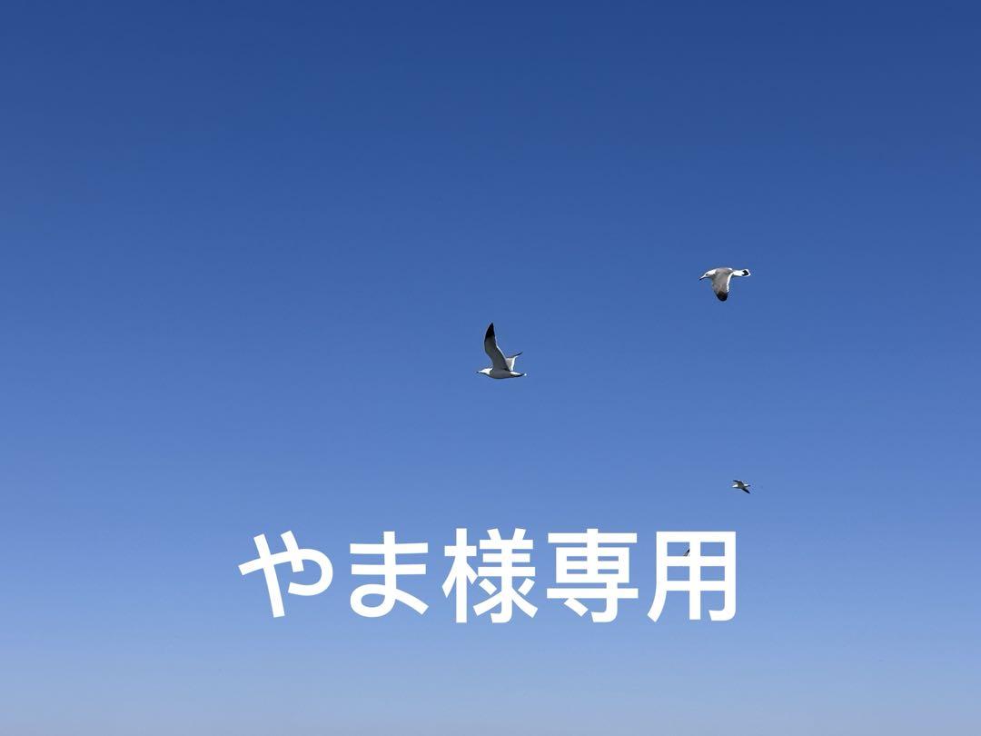 専用ページ