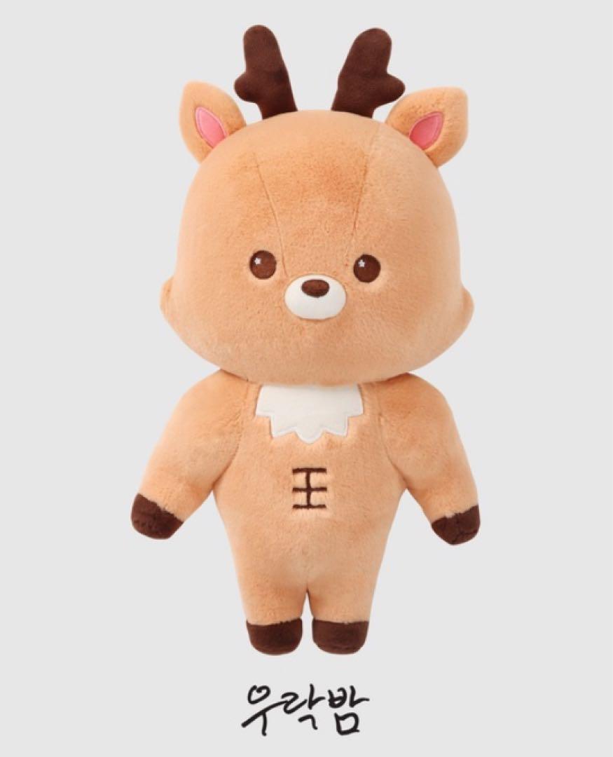 RIIZE ソンチャン　40cm DOLL ぬいぐるみ　新品未開封完売希少 RIIZE ソンチャン 40cm DOLL ぬいぐるみ 新品未開封完売希少