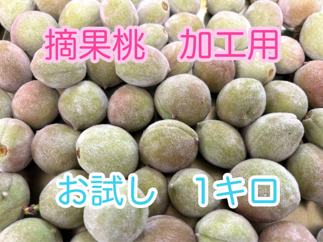 若桃加工用１５キロ 若桃加工用15キロ （爽やかな甘さ☆若桃の甘露煮 | STORE+328）