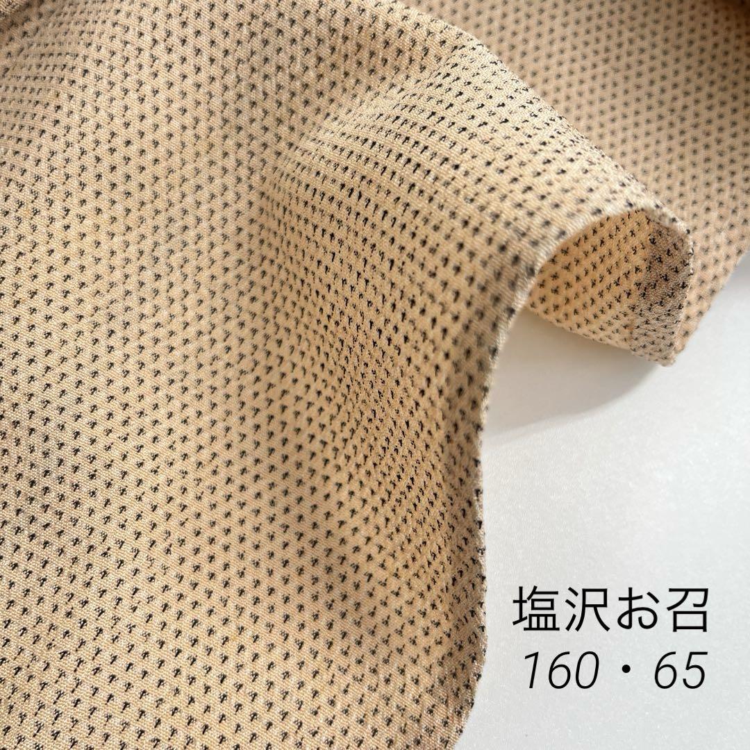 塩沢お召 正絹 細かな絣柄 着物 着付け 和装 i-2732