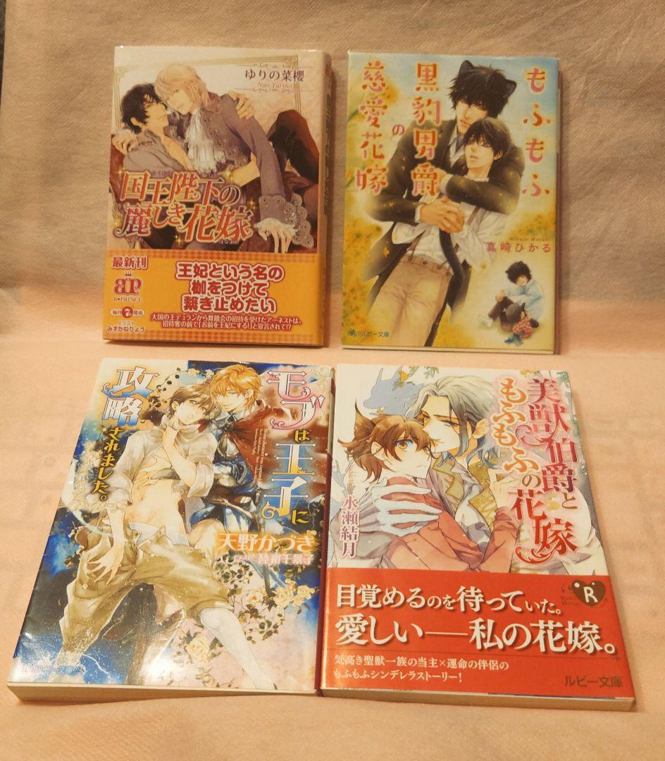 BL　30冊セット　 ばら売り可（他の出品と同梱包可能）