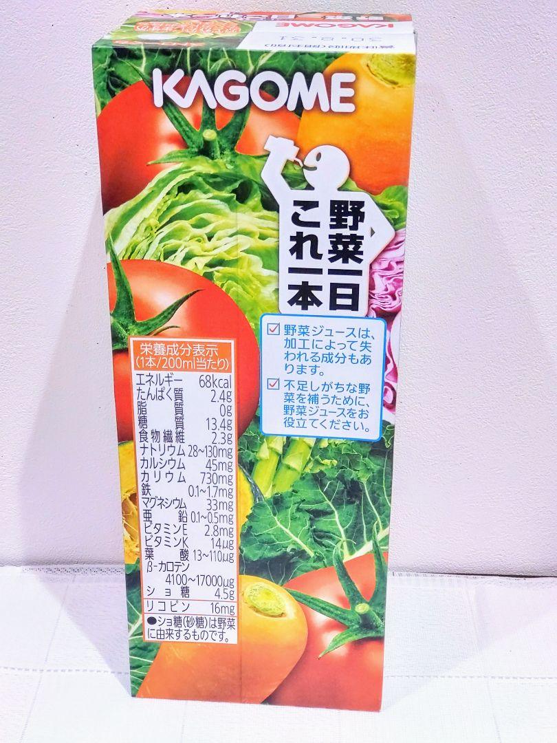 【当選者賞品】AKB48野菜シスターズフィギュアセット