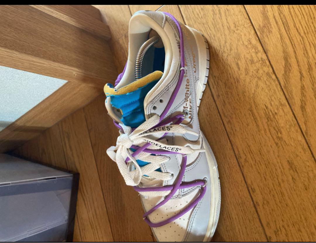 靴 NIKE off white dunk low 47