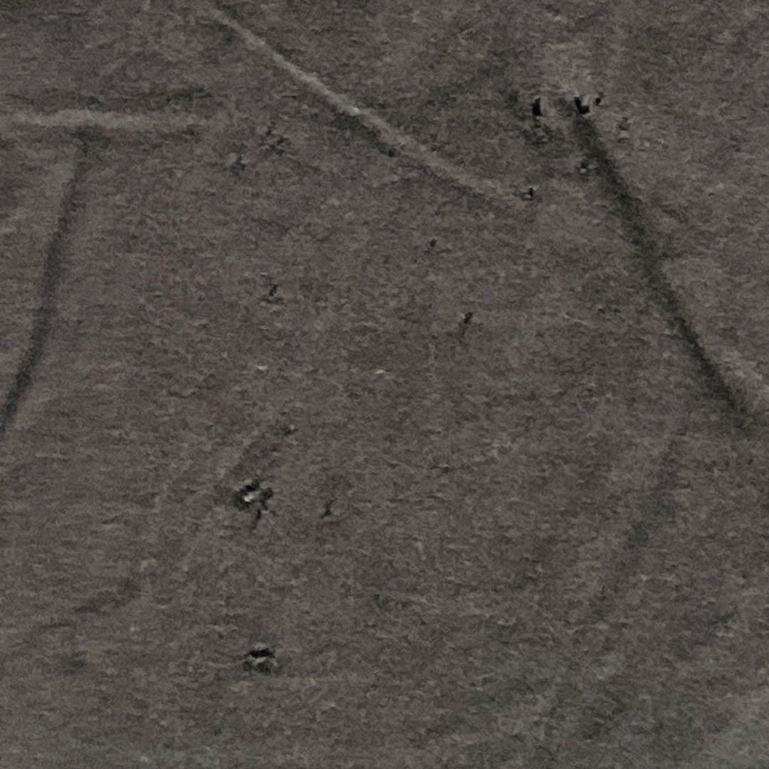 L.G.B ルグランブルー ロンT ロングTシャツ CIRCUS-L/LSC/M