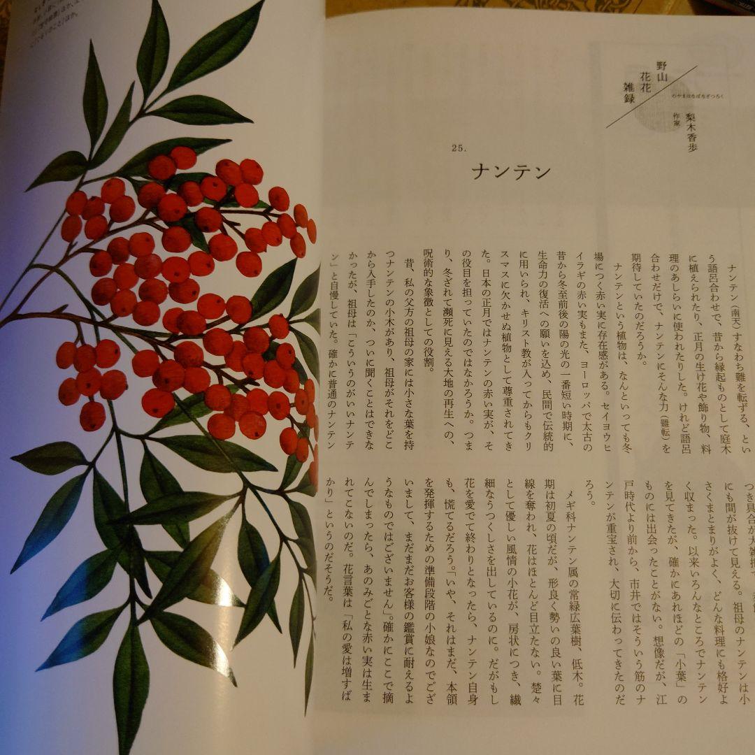 ☆ なごみ 茶のあるくらし 2024年 1月号 /茶の湯、日本文化 / 淡