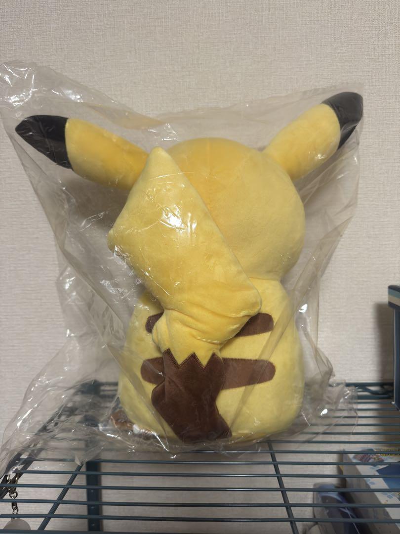 2019年 ピカピカバック限定 ポケモンfit 12インチ ピカチュウ