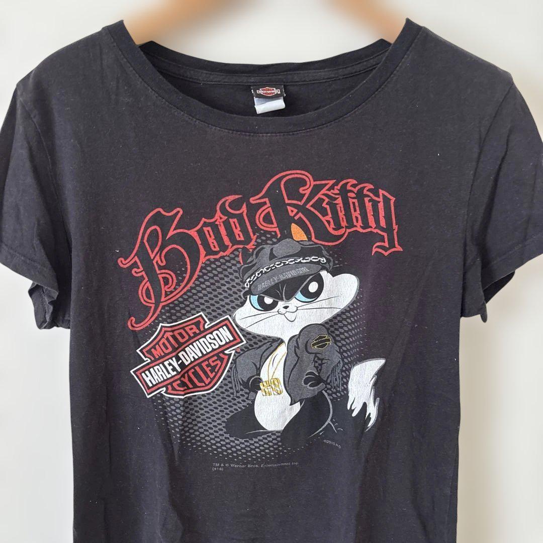 古着 ハーレーダビッドソン × ルーニーテューンズ Tシャツ