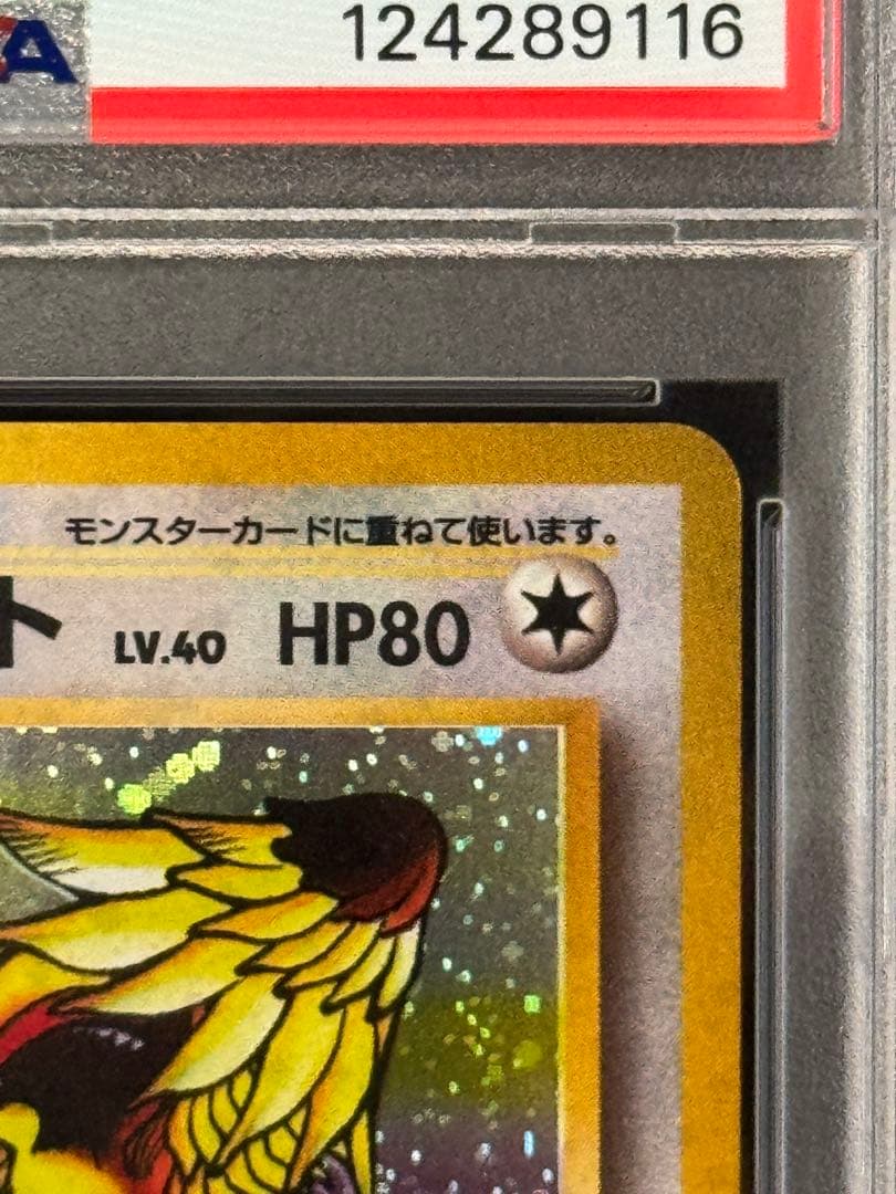 PSA10 ピジョット