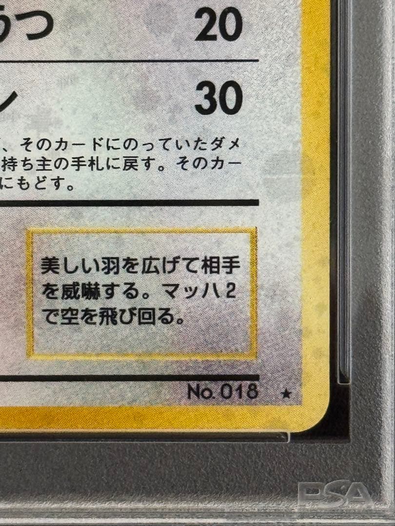PSA10 ピジョット