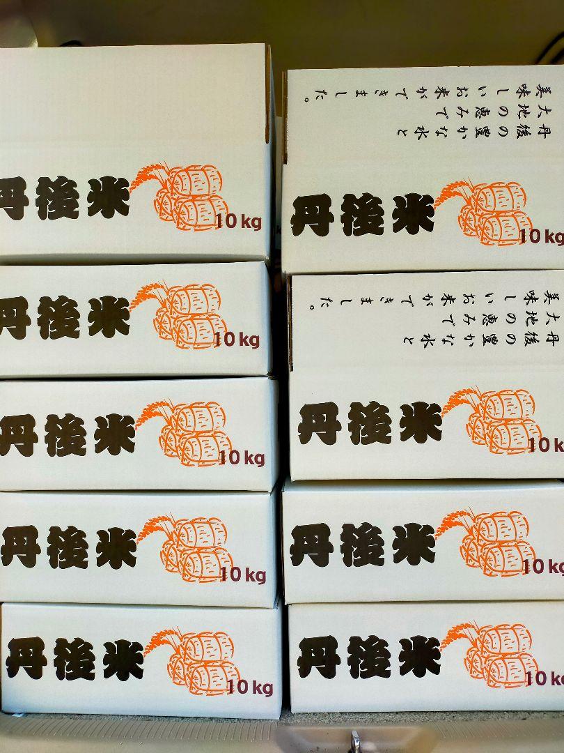 玄米　新米10kg　令和6年産コシヒカリ①