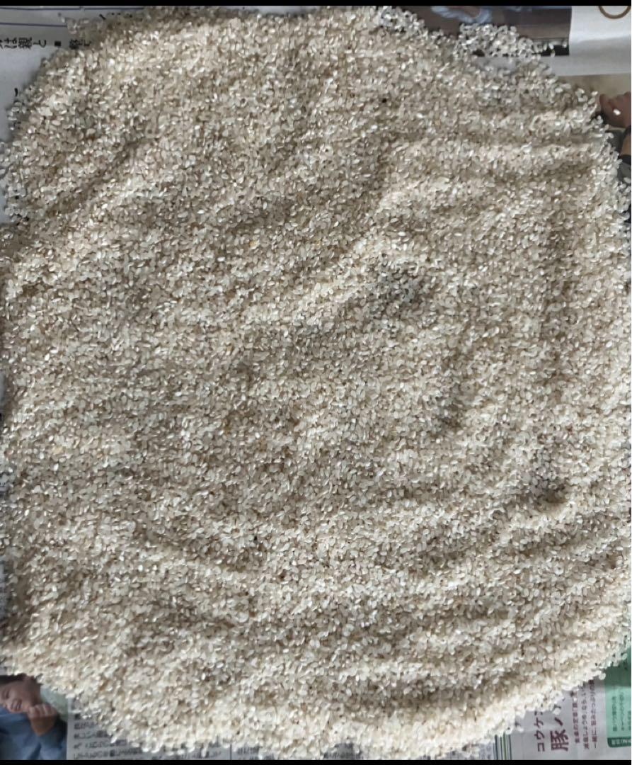 ❻ ヘンリー　くず米　精米　飼料用　24キロ