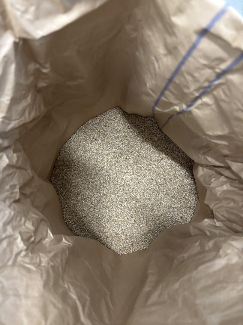 R6年生産 岡山県産ヒノヒカリ　10キロ　無農薬玄米