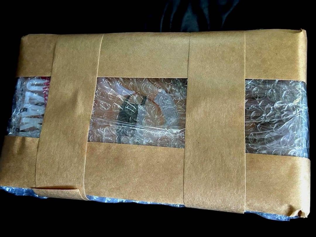 ※新作 10個セット ぬーどる ストッパー フィギュア レオリオ ※新作 10個セット ぬーどる ストッパー フィギュア レオリオ