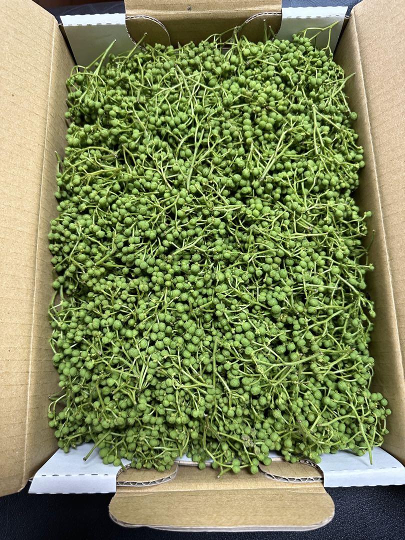 和歌山県産 山椒 約1kg