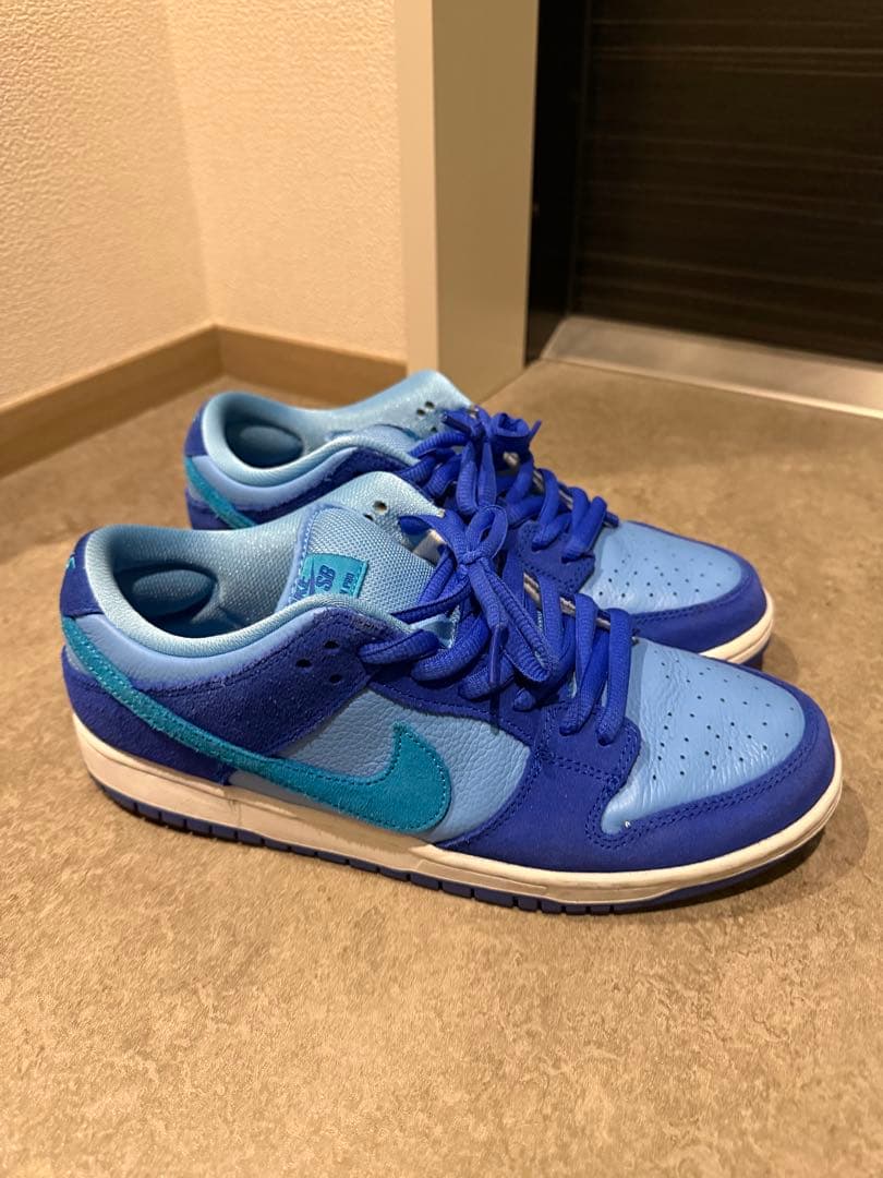 ナイキ SB ダンク low26.5cm NIKE SB