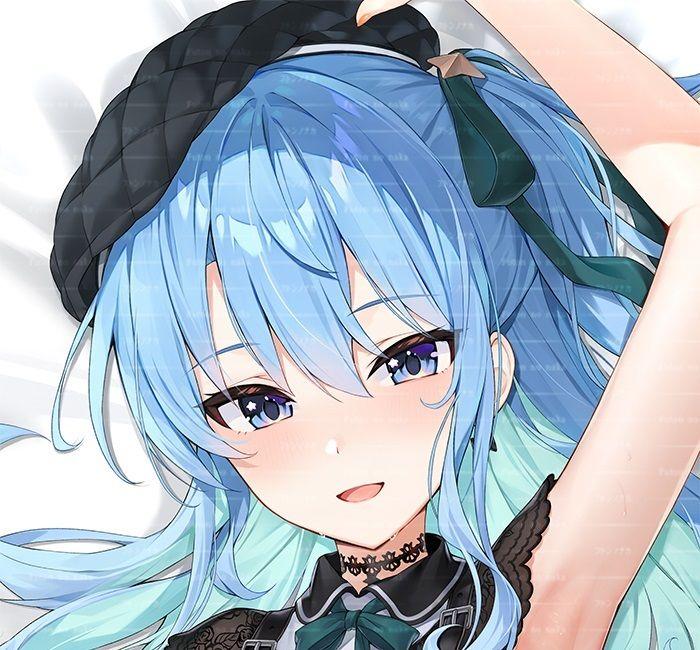 正規品 未開封 抱き枕カバー B版 星街すいせい(22JM) /フトンノナカ フトンノナカ 22JM ホロライブ 星街すいせい 抱き枕カバー A版