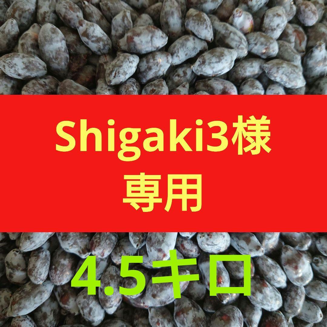 専用　生ハスカップ4.5キロ