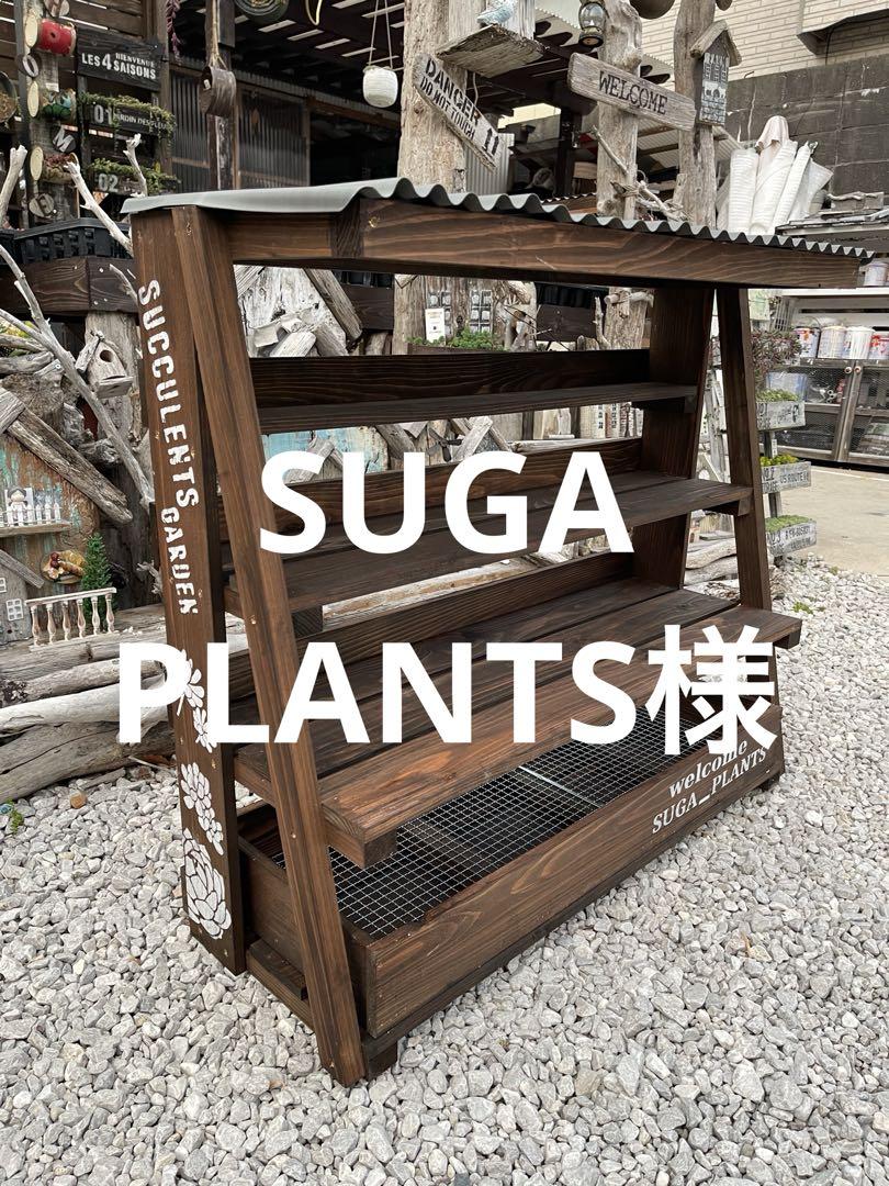 SUGA PLANTS様多肉植物棚　GAI-80OR 12,324円