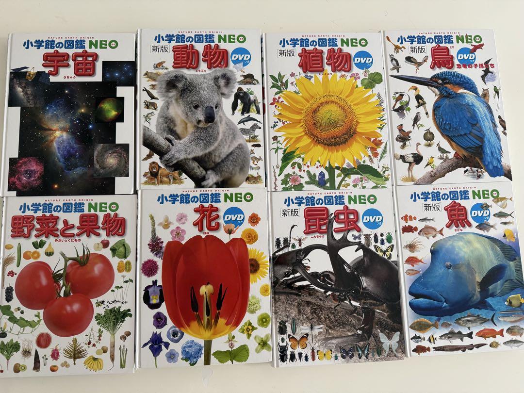 小学館の図鑑NEO 特典・DVD付き セット 8冊 本
