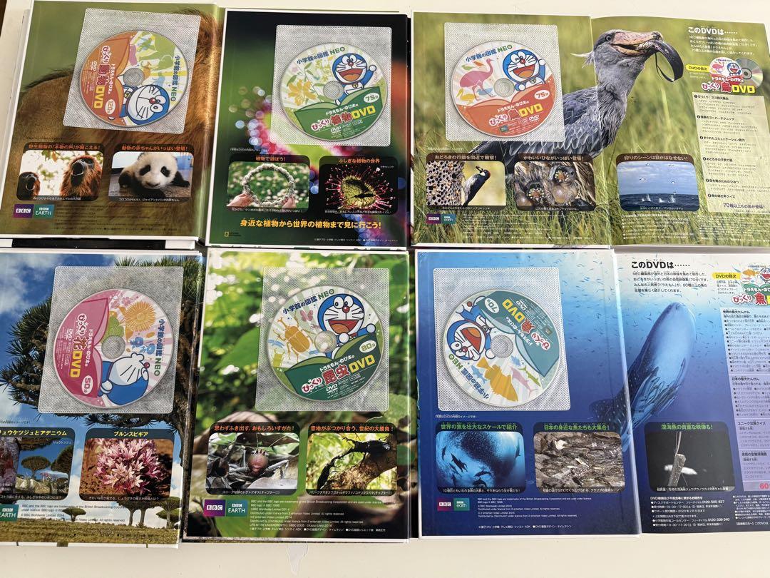 小学館の図鑑NEO 付属DVD5枚セット 図鑑NEO 基本 5冊セット |本 | 通販 | Amazon