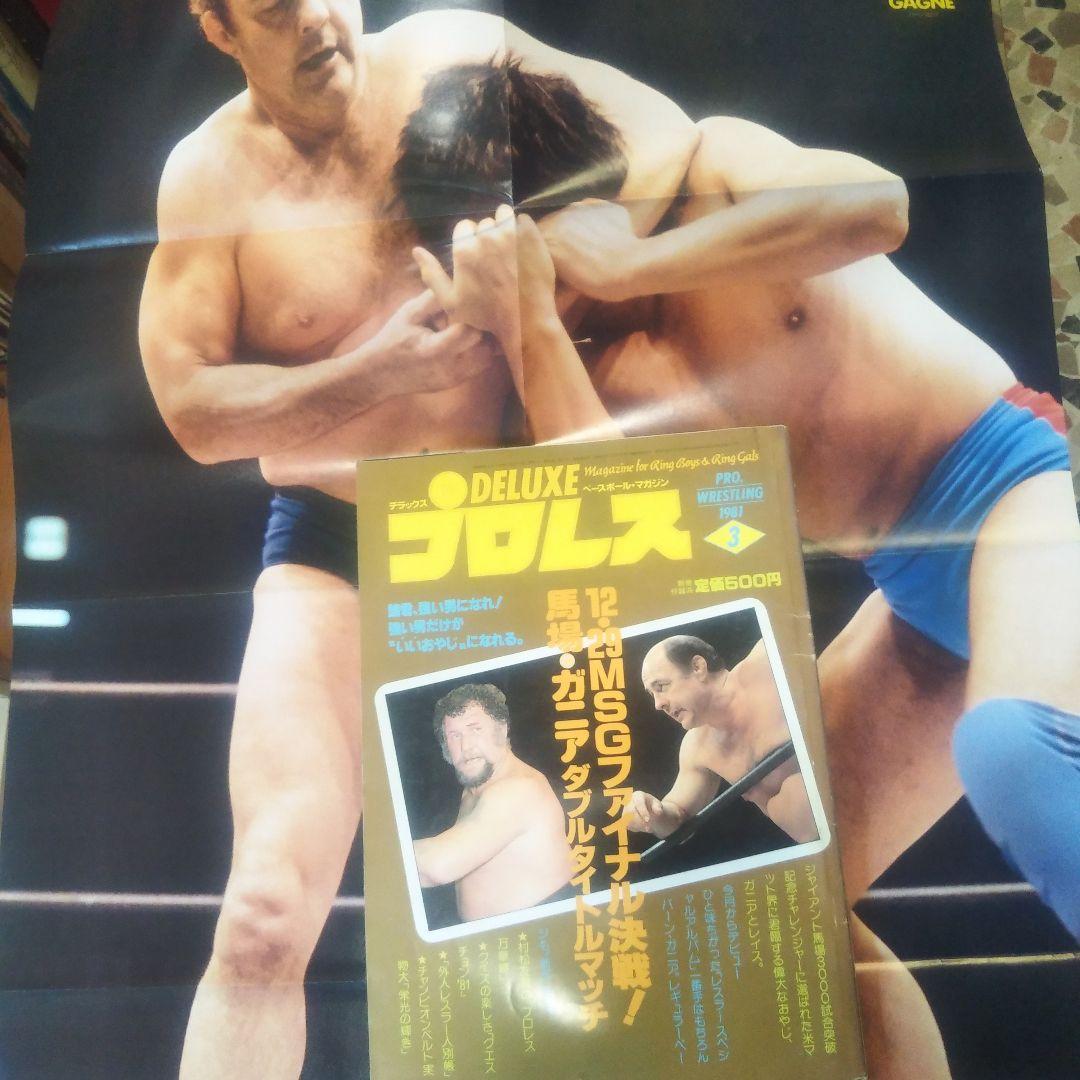 月刊プロレス 1981年3月号 通巻349号 ベースボールマガジン社 G馬場 月刊プロレス 1981年3月号 通巻349号 ベースボールマガジン社 G馬場