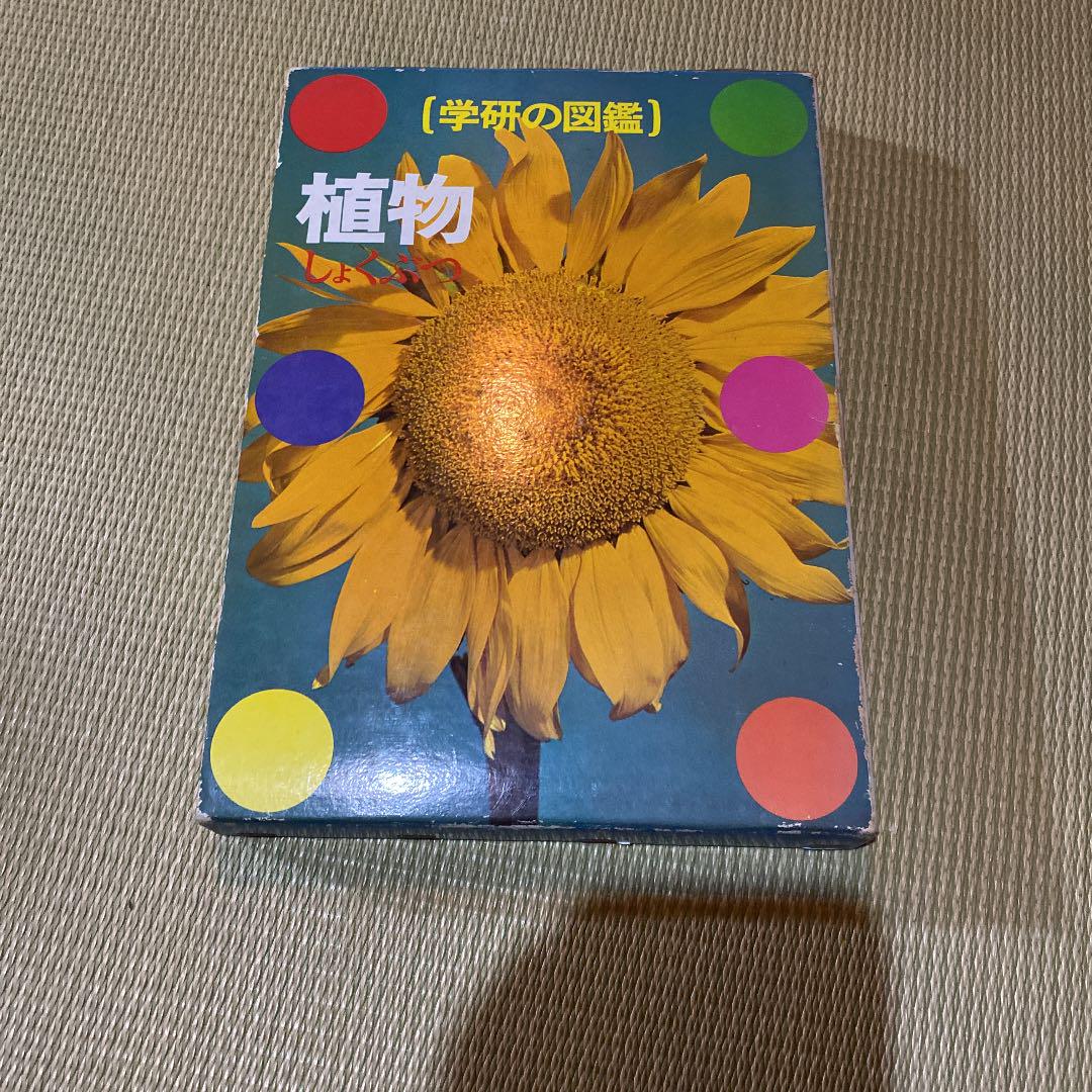 小学館 図鑑NEO DVDつきセット （既16巻） '21年度 : 脳トレ生活