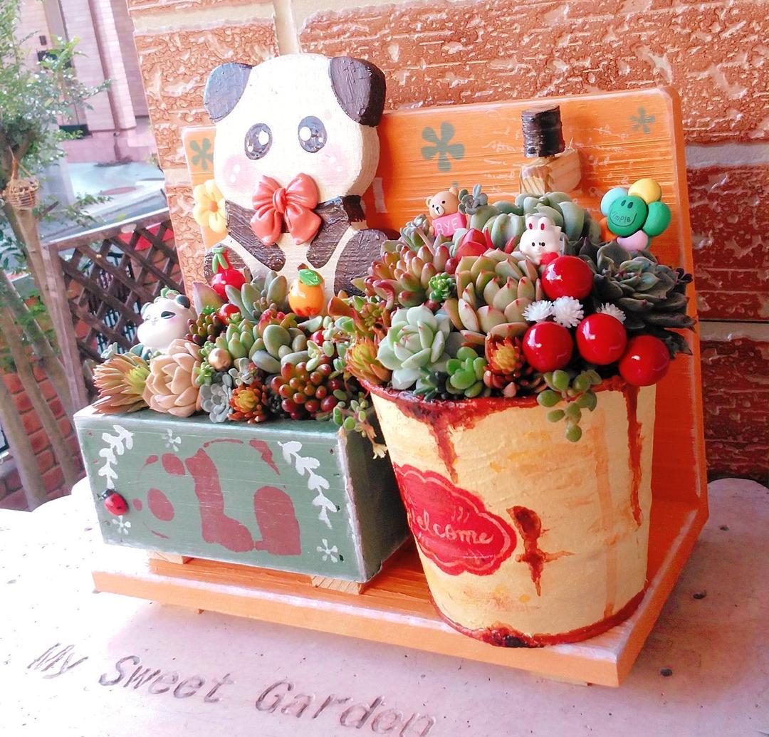 までの◍ ♡多肉植物の寄せ植え♡もりもりセット~♬⑤ OAMqX-m82564500805 ⓯いリメイク