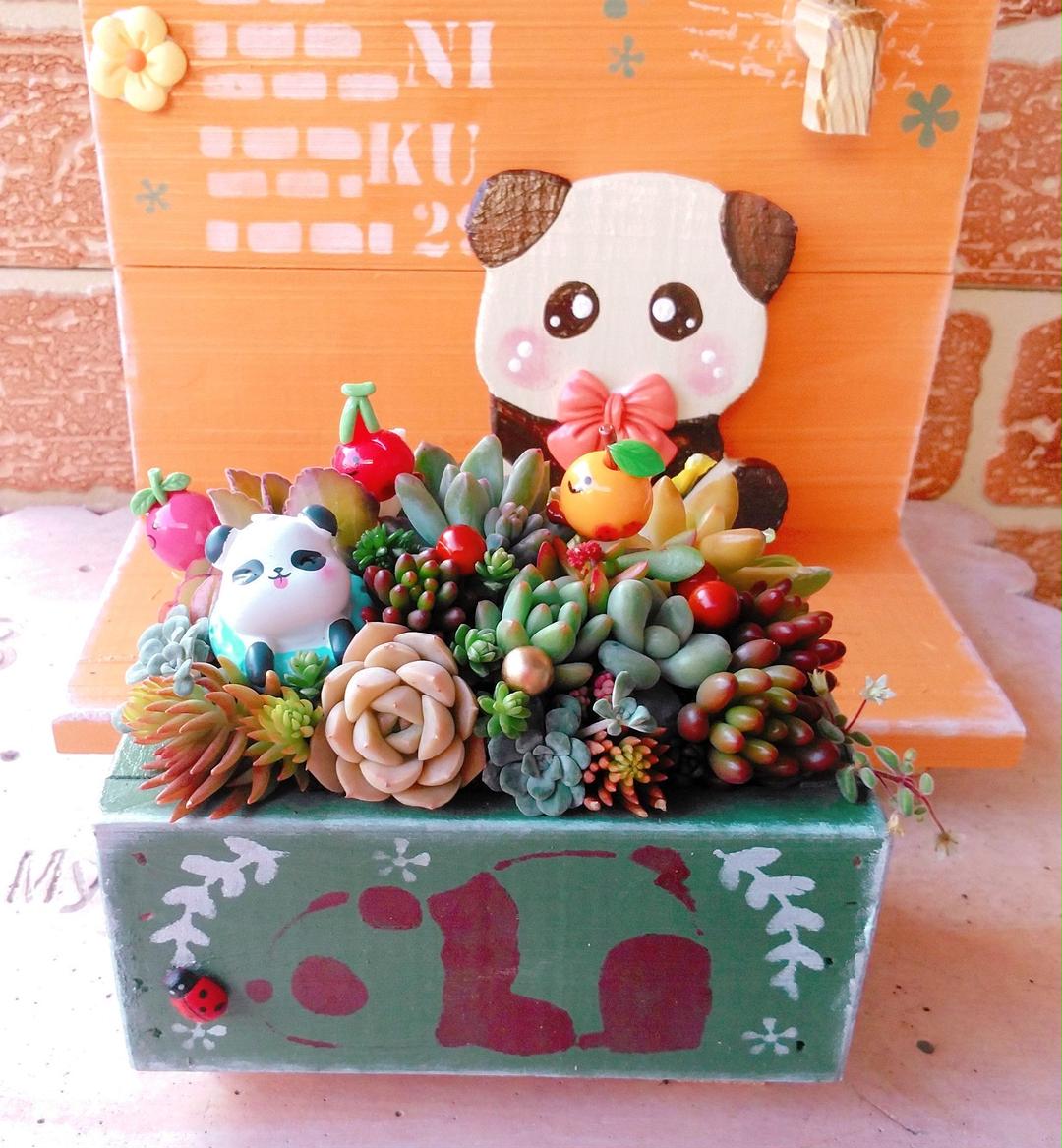 までの◍ ♡多肉植物の寄せ植え♡もりもりセット~♬⑤ OAMqX-m82564500805 ⓯いリメイク