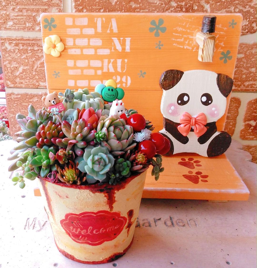 までの◍ ♡多肉植物の寄せ植え♡もりもりセット~♬⑤ OAMqX-m82564500805 ⓯いリメイク