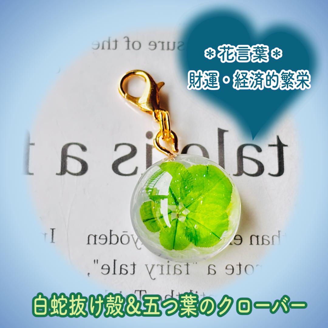 natsuさまオーダー＊白蛇御守り＊五つ葉のクローバー❷キーホルダー natsuさまオーダー＊白蛇抜け殻入り五つ葉のクローバー