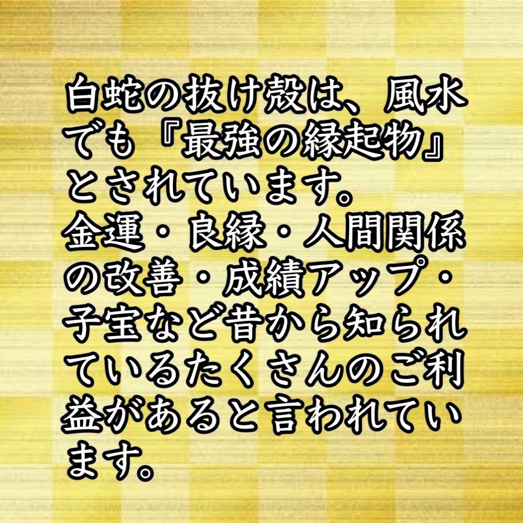 natsuさまオーダー＊白蛇御守り＊五つ葉のクローバー❷キーホルダー natsuさまオーダー＊白蛇抜け殻入り五つ葉のクローバー