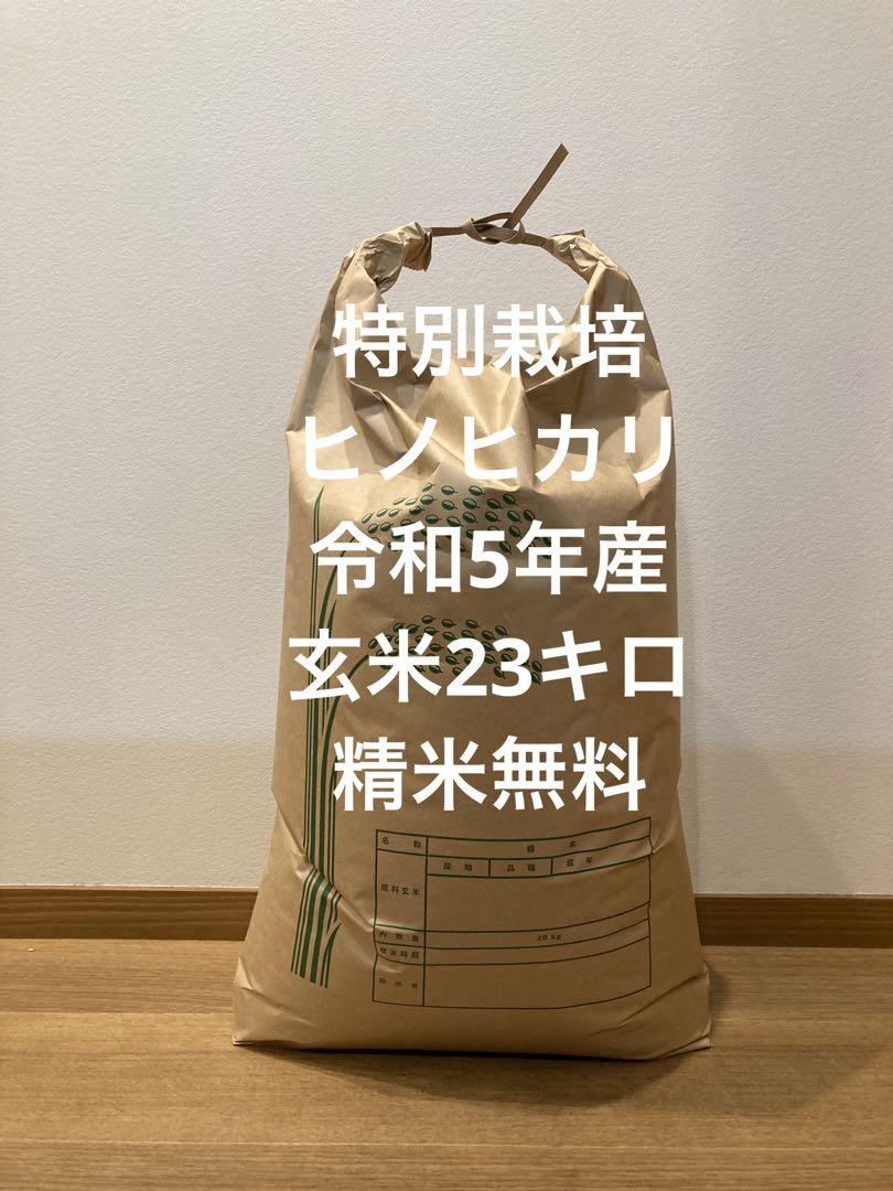 特別栽培ヒノヒカリ　令和5年産　玄米23キロ　精米無料